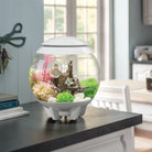 Get inspiration for your aquarium design by using the biOrb CLASSIC 15 Aquarium
