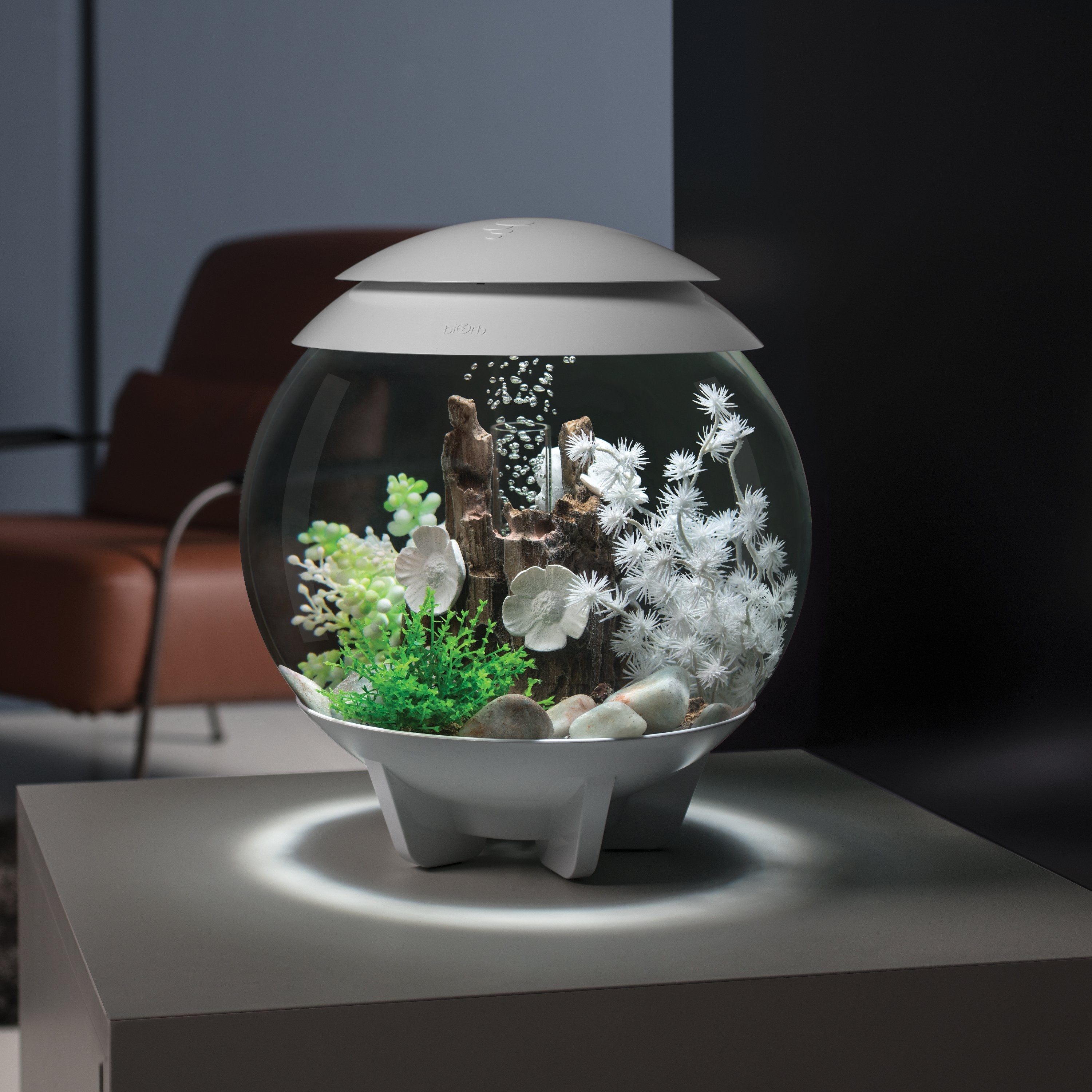 HALO 15 Aquarium with MCR Light - 4 Gallon in Use
