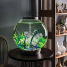 Easy Plant Set in Use