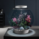 Dark Green Seapearls and Kelp Plant Set in Use