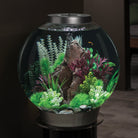 Bonsai Ball in Use