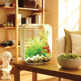 Get inspiration for your aquarium design by using the biOrb LIFE 15 Aquarium