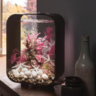 Pink Medium Sea Fan in Use