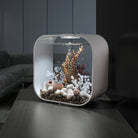 Natural Sea Urchins Set of 3 in Use