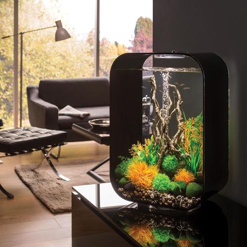 Get inspiration for your aquarium design by using the biOrb LIFE 45 Aquarium