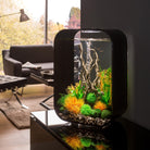 Easy Plant Set in Use