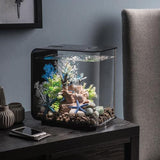 Get inspiration for your aquarium design by using the biOrb FLOW 15 Aquarium