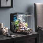 Blue Coral Reef Sculpture In Use