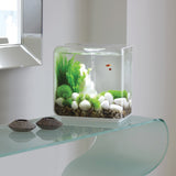 Get inspiration for your aquarium design by using the biOrb FLOW 15 Aquarium