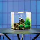 Get inspiration for your aquarium design by using the biOrb FLOW 15 Aquarium