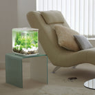 Get inspiration for your aquarium design by using the biOrb FLOW 15 Aquarium
