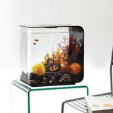 Get inspiration for your aquarium design by using the biOrb FLOW 30 Aquarium