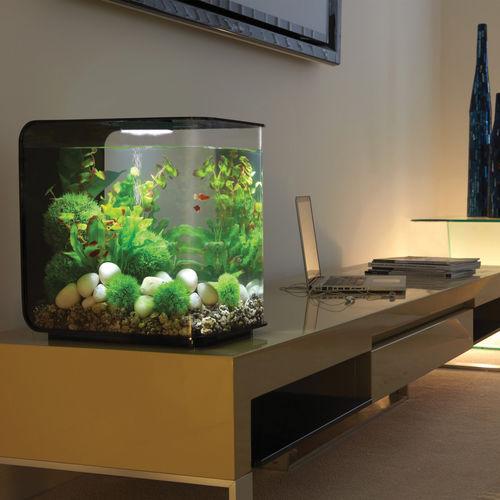 Get inspiration for your aquarium design by using the biOrb FLOW 30 Aquarium