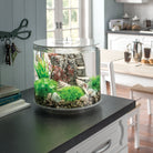 Get inspiration for your aquarium design by using the biOrb TUBE 15 Aquarium