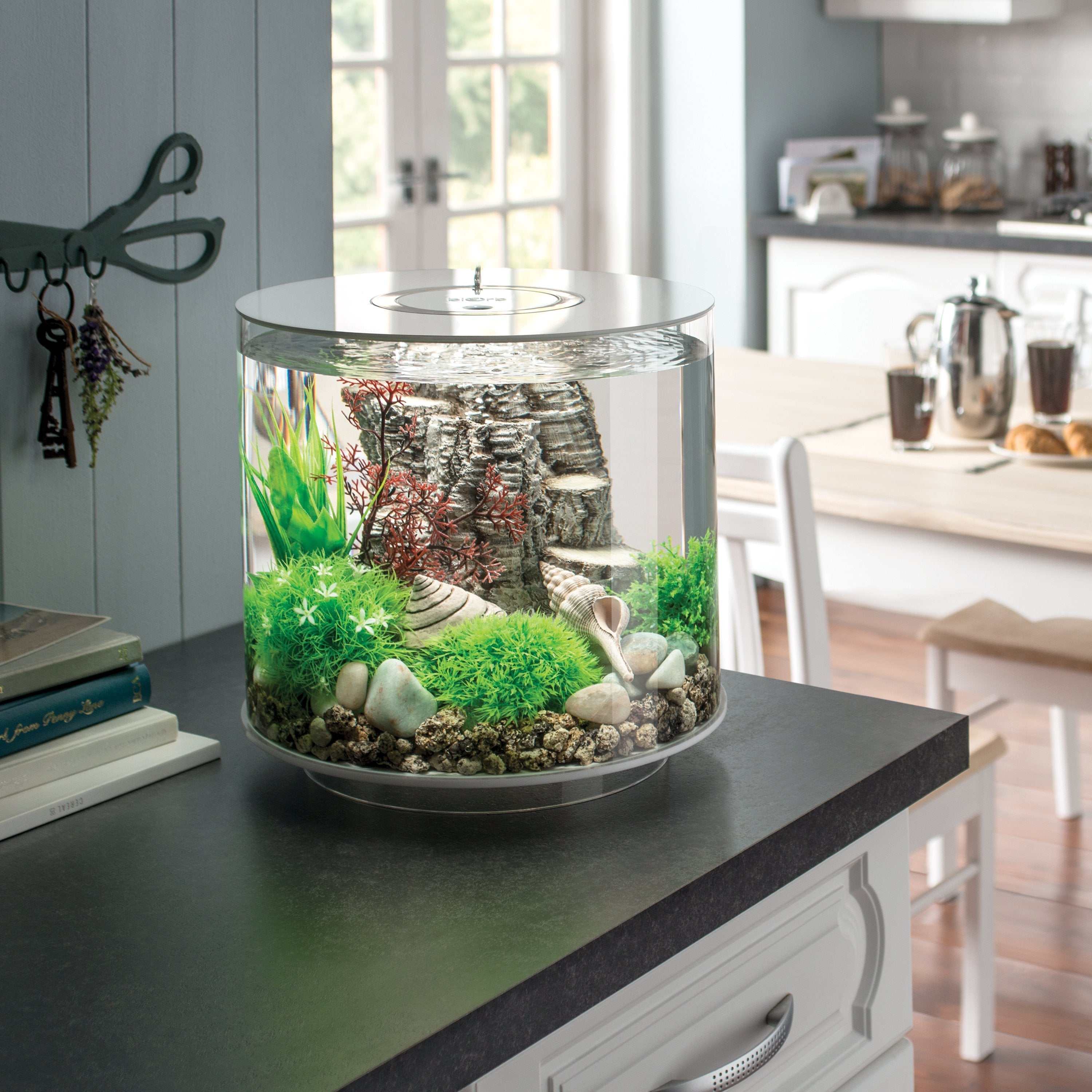 Get inspiration for your aquarium design by using the biOrb TUBE 15 Aquarium