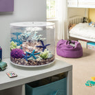 Blue Coral Reef Sculpture In Use