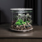 Bonsai Ball In Use