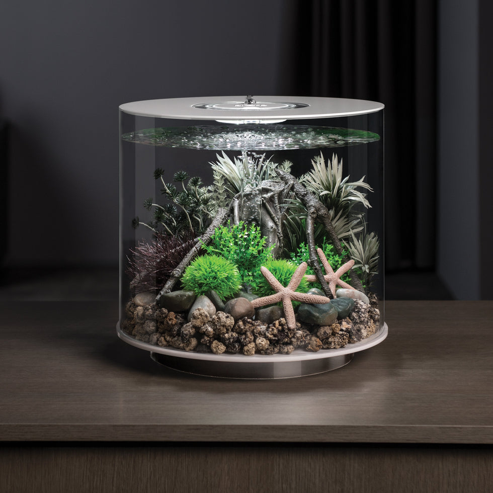 Biorb Decorate Your Aquarium with biOrb Accessories | biOrb UK