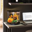 Lava Rock with Fire Coral Sculpture in Use
