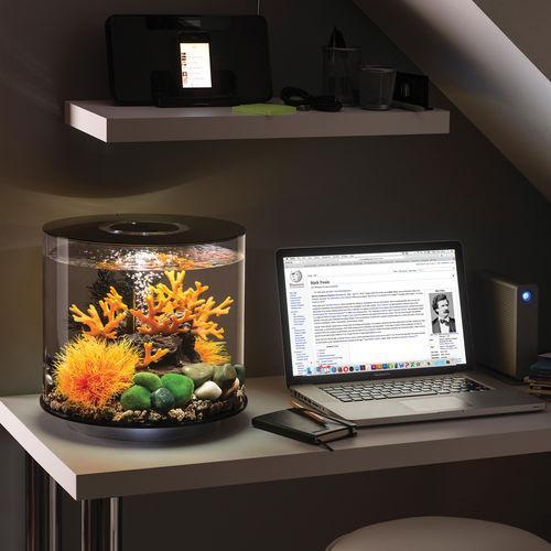 Get inspiration for your aquarium design by using the biOrb TUBE 15 Aquarium