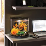 Get inspiration for your aquarium design by using the biOrb TUBE 15 Aquarium