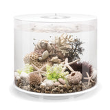 TUBE 35 Aquarium with Standard Light - 9.2 gallon available in White