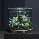 White Bonsai Ball In Use