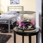 Purple Aquatic Color Ball In Use