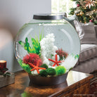 Red Aquatic Color Ball In Use
