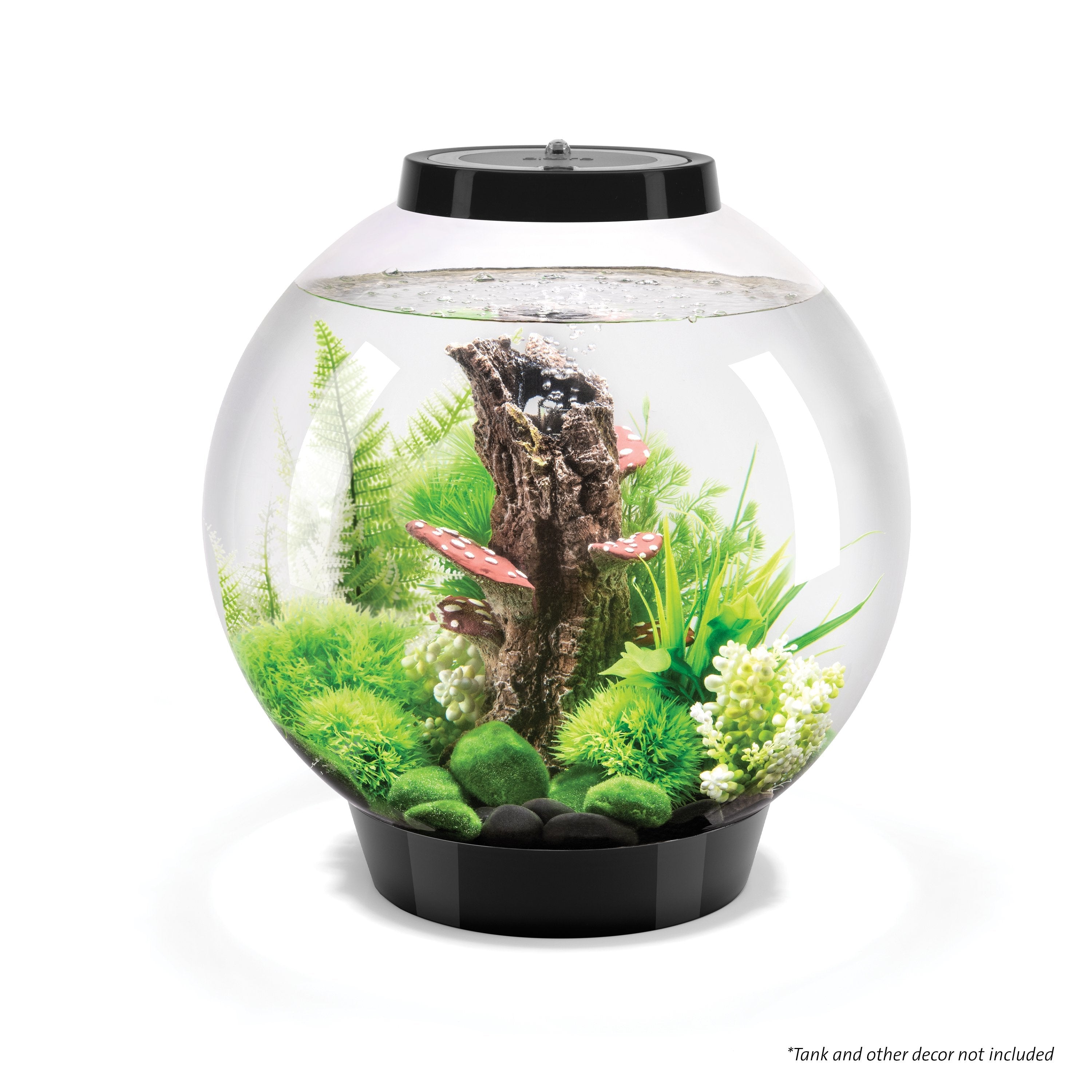 Get inspiration for your aquarium design by using the biOrb Winter Fern Aquarium Plant Set of 2