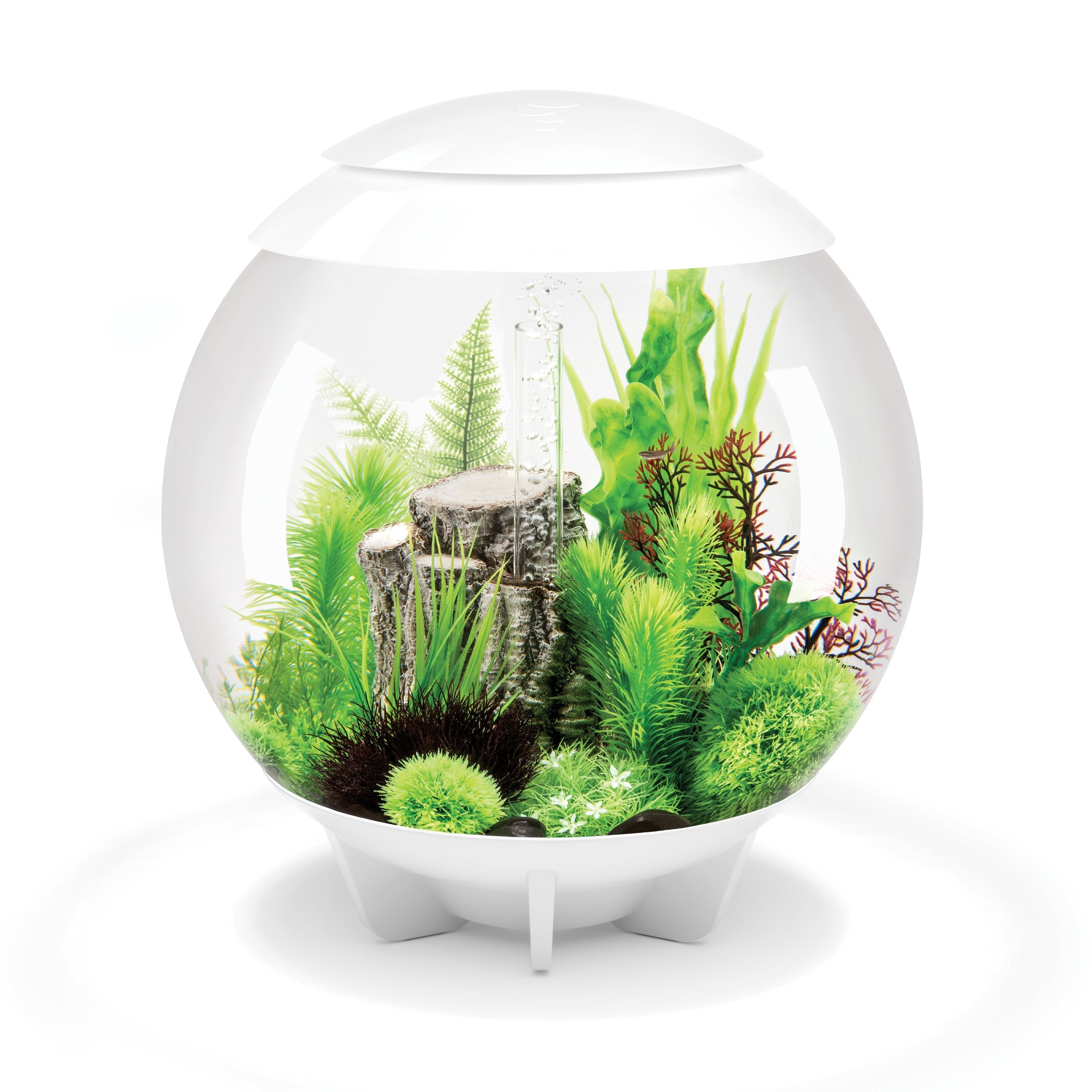 Get inspiration for your aquarium design by using the biOrb Winter Fern Aquarium Plant Set of 2