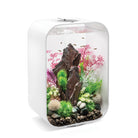 Pink Medium Kelp Plant Set in Use