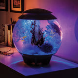 Get inspiration for your aquarium design by using the biOrb Reef Sculpture