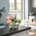 Get inspiration for your aquarium design by using the biOrb Aquarium Starfish Set of 3
