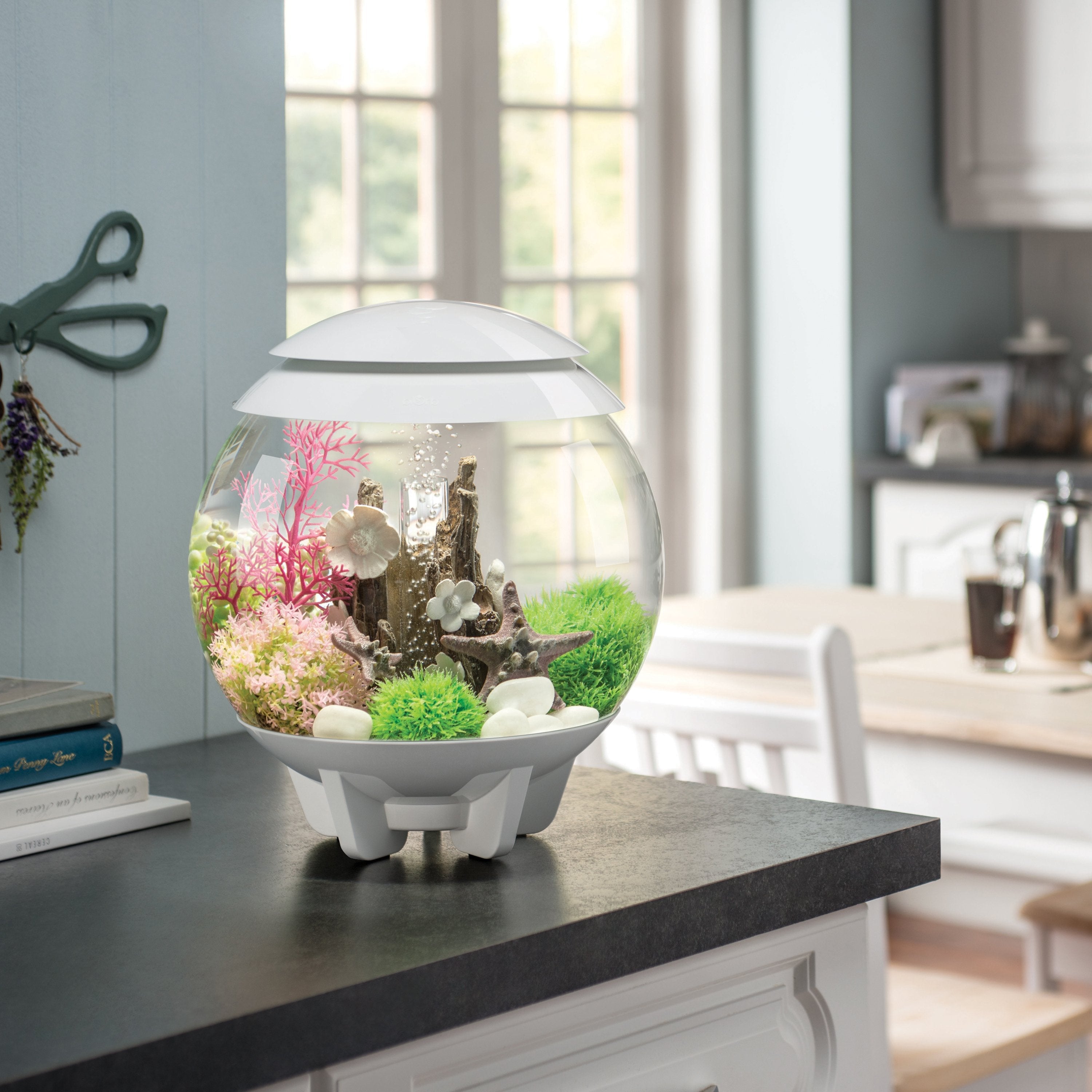 Get inspiration for your aquarium design by using the biOrb Aquarium Starfish Set of 3
