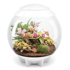 AIR 60 LED Terrarium - 16 gallon, White
