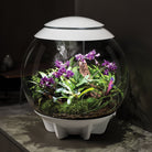 AIR 60 LED Terrarium - 16 gallon Up-close
