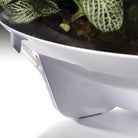 The biOrbAIR Terrarium is THE modern terrarium/vivarium, the biOrbAIR replicates the conditions found under the tropical forest canopy and will provide them with the humidity, air circulation and lighting they need.
