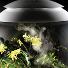 biOrbAIR Terrarium Mist Cycle