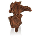 AIR 60 Bogwood Bird Terrarium Sculpture