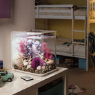 Get inspiration for your aquarium design by using the biOrb FLOW 15 Aquarium