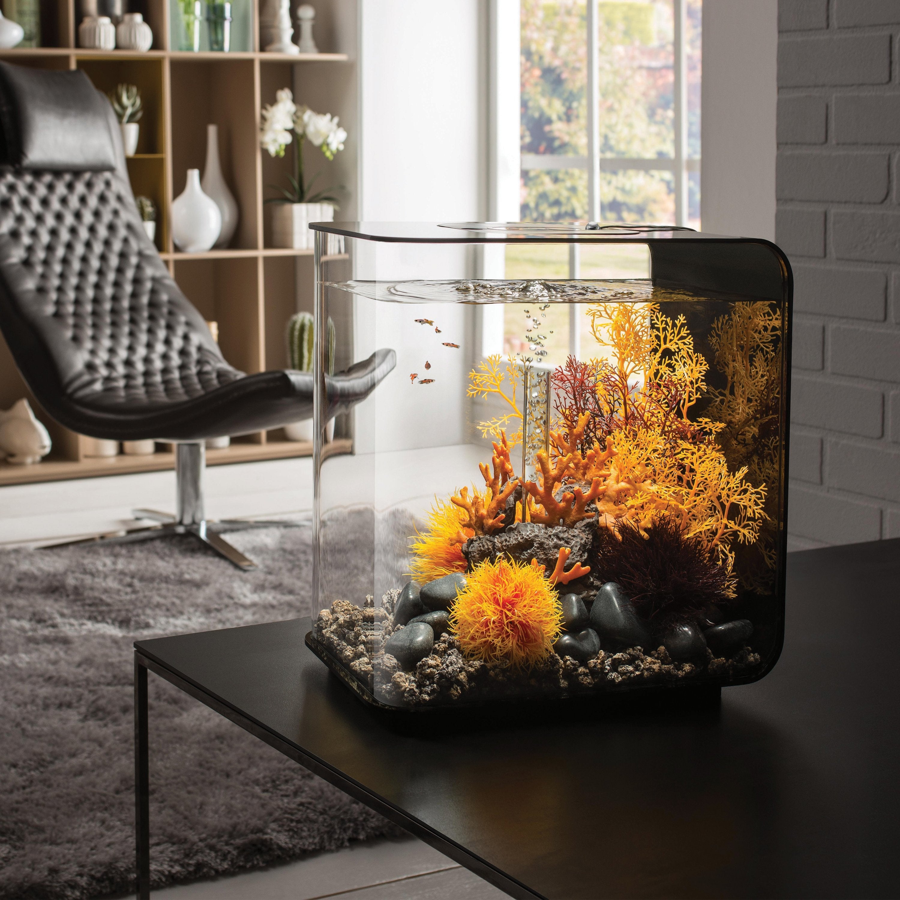 Lava Rock with Fire Coral Sculpture in Use
