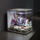 White Bonsai Ball In Use