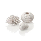 Sea Urchins Set of 3 available in White