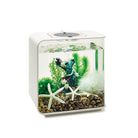 biOrb Aquarium Decor Set in Use