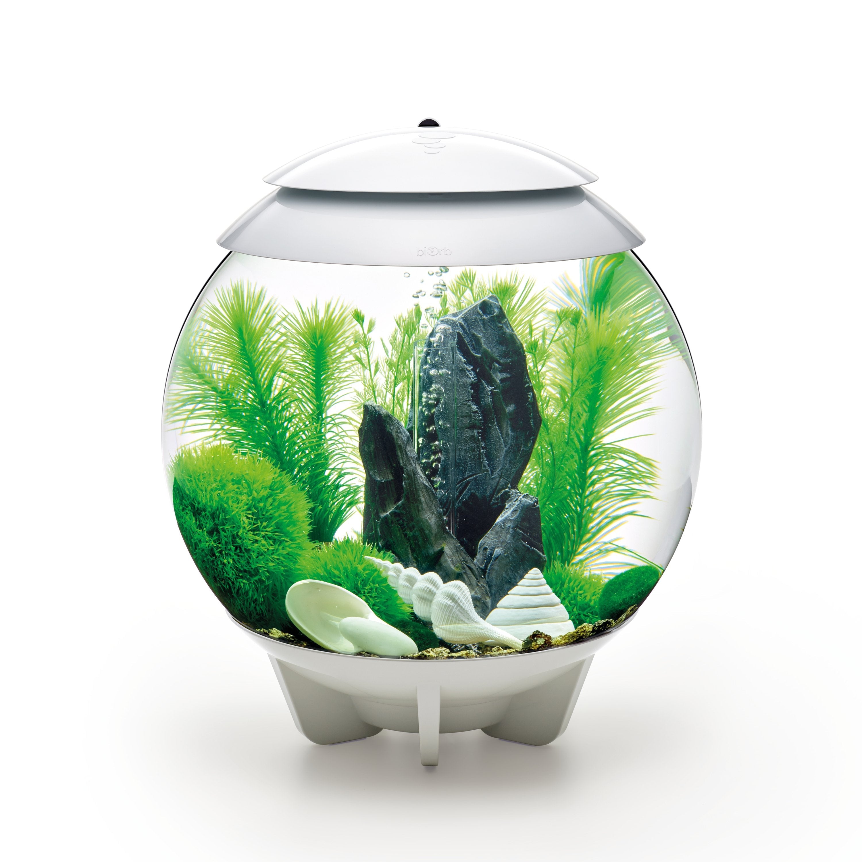 biOrb Aquarium Decor Set in use