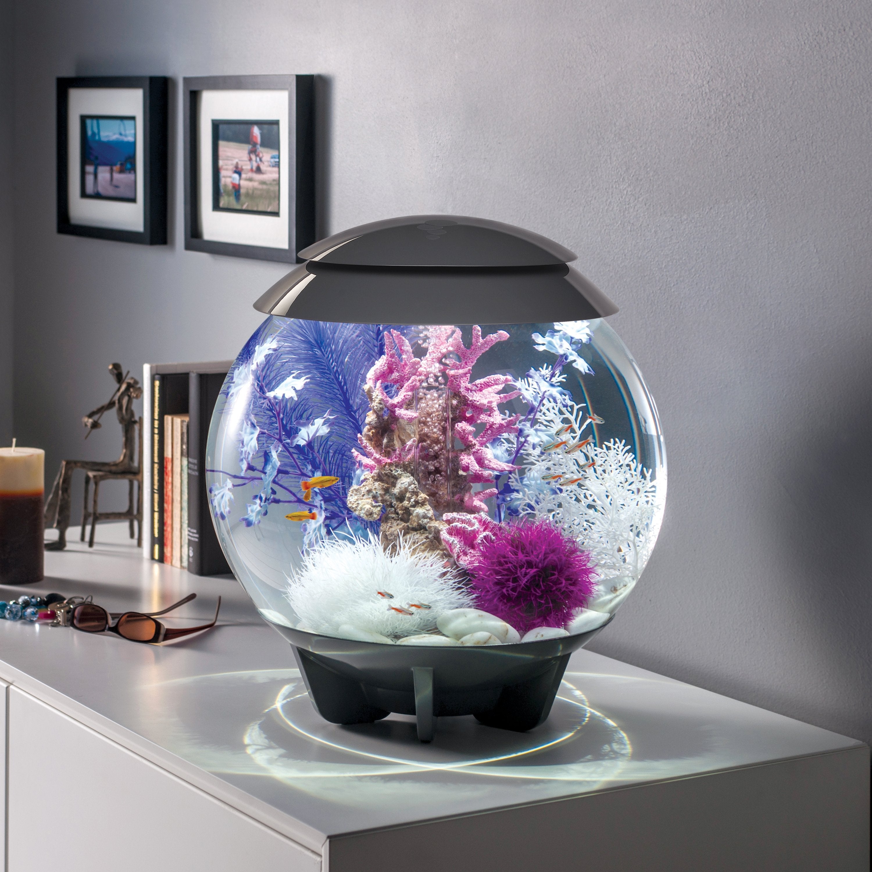 Get inspiration for your aquarium design by using the biOrb CLASSIC 30 Aquarium