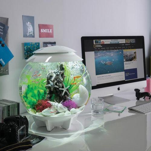 Get inspiration for your aquarium design by using the biOrb CLASSIC 30 Aquarium
