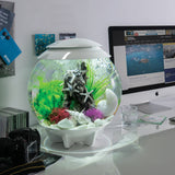 Aquatic Color Ball Set In Use