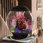 Purple Flower Ball in Use